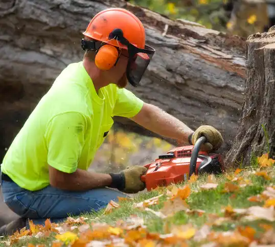 tree services Bennet